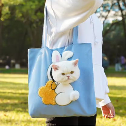 Bolso de paseo