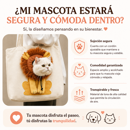 Bolso de paseo