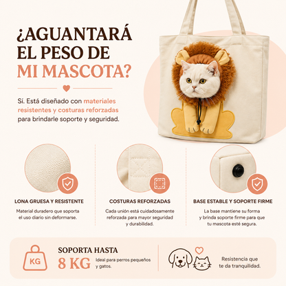 Bolso de paseo