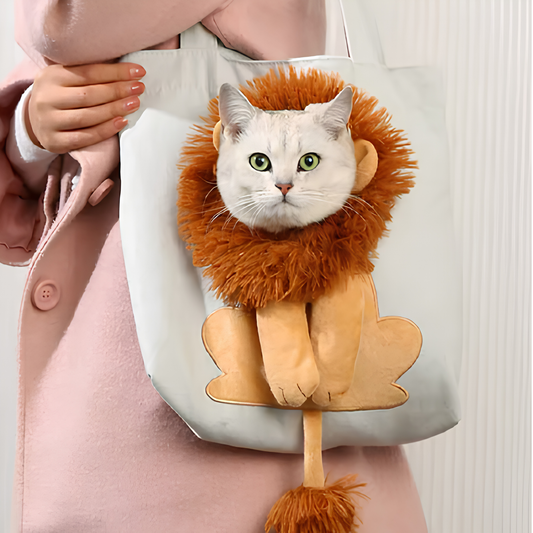 Bolso de paseo