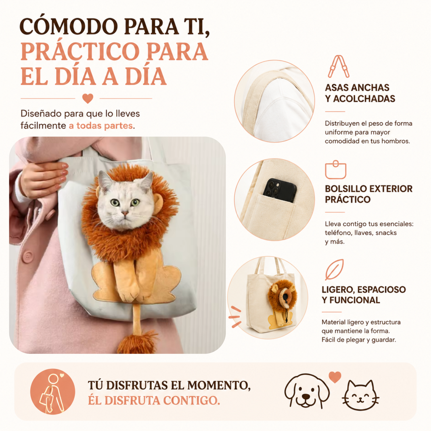 Bolso de paseo